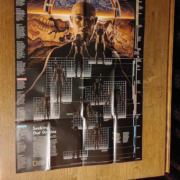 NATIONAL GEOGRAPHIC DAWN of HUMANS WALL POSTER Double Sided Full Colour Feb 97 - Picture 3 of 5